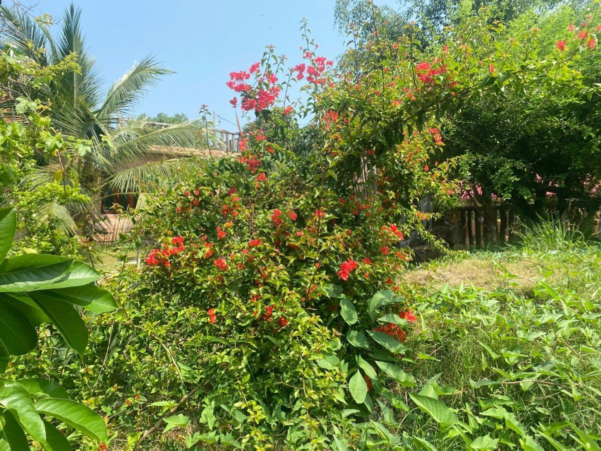 Ngoc Tien Farmer Eco Lodge Cat Tien Esterno foto